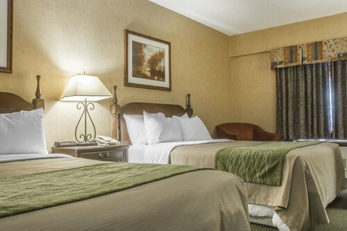 Гостиница Comfort Inn Sarnia в Сарнии