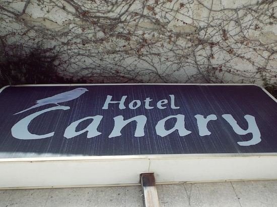 Фото Canary Hotel