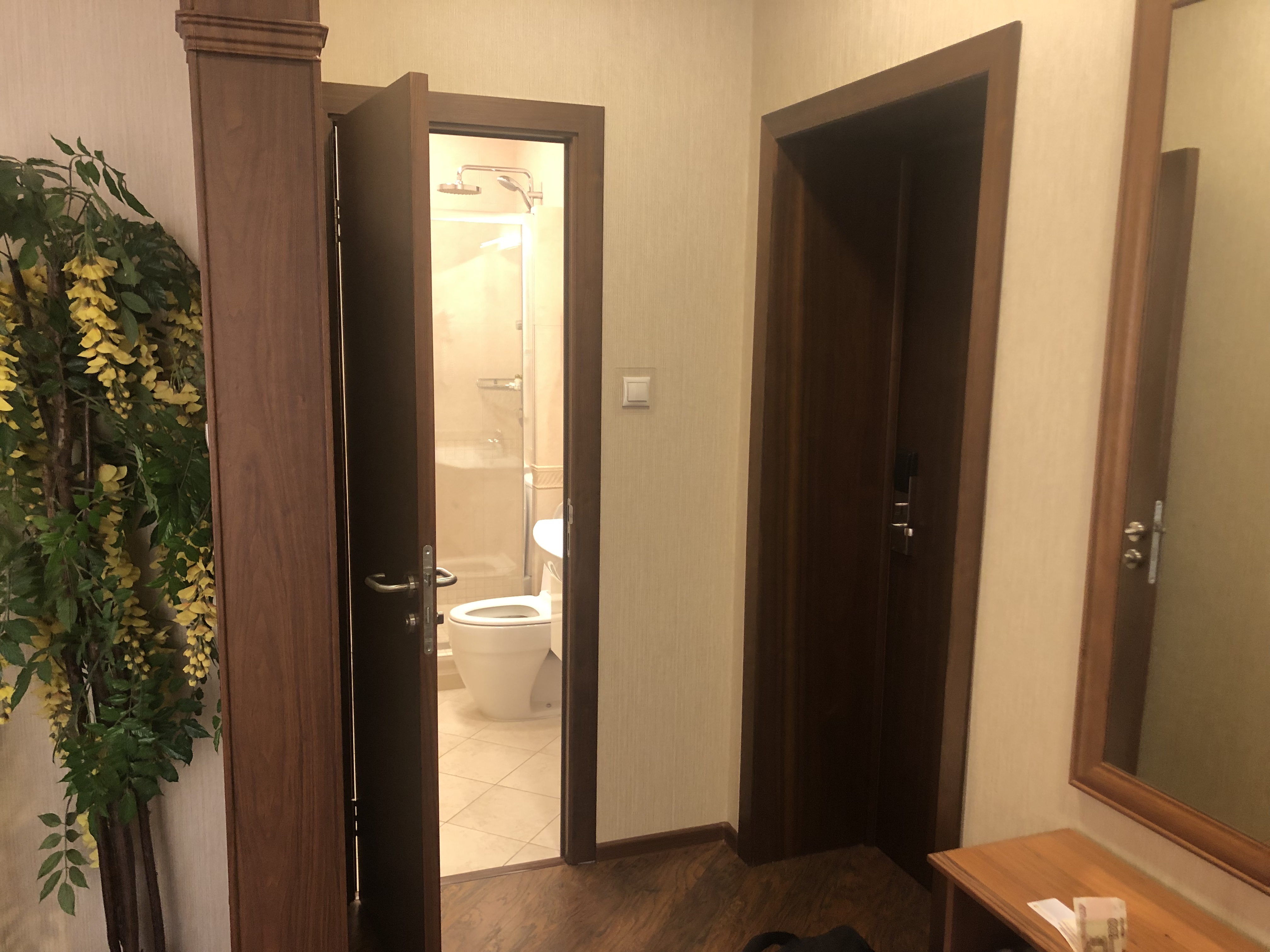 Фото Вулкан