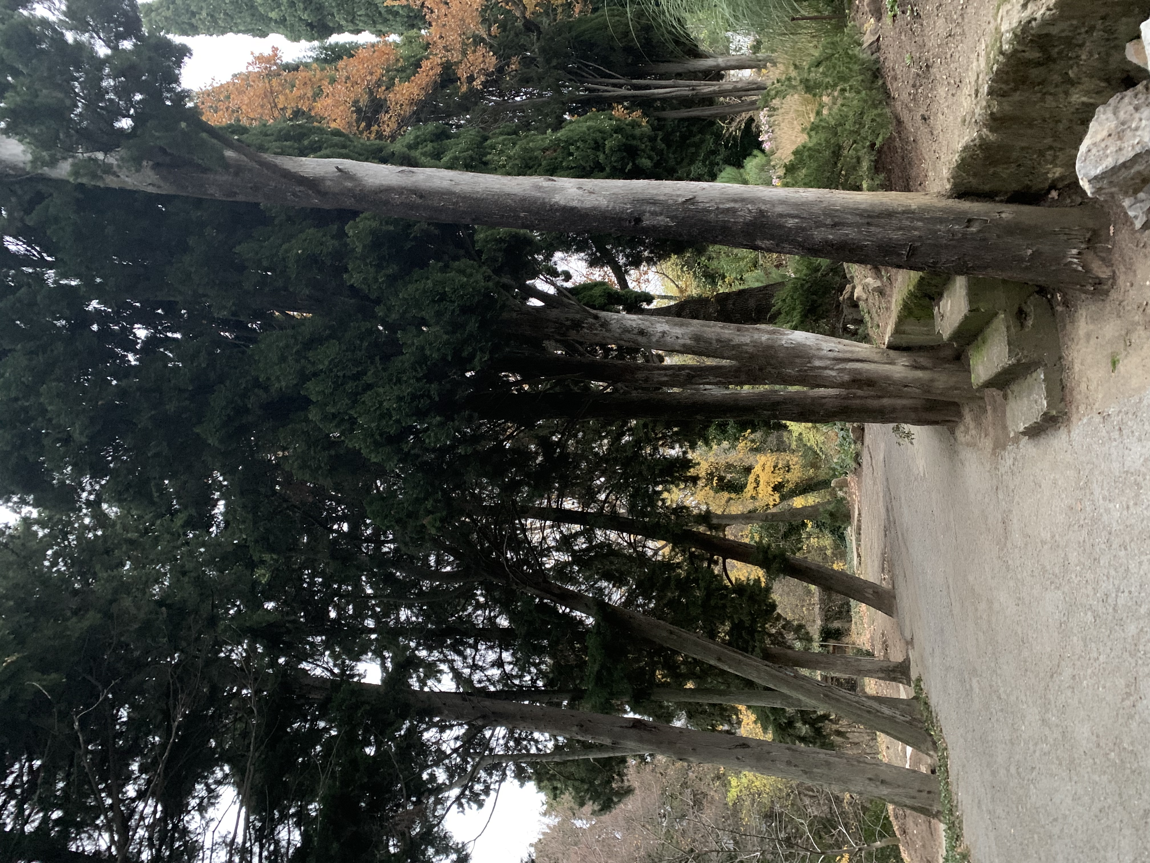 Фото Санаторий Узбекистан