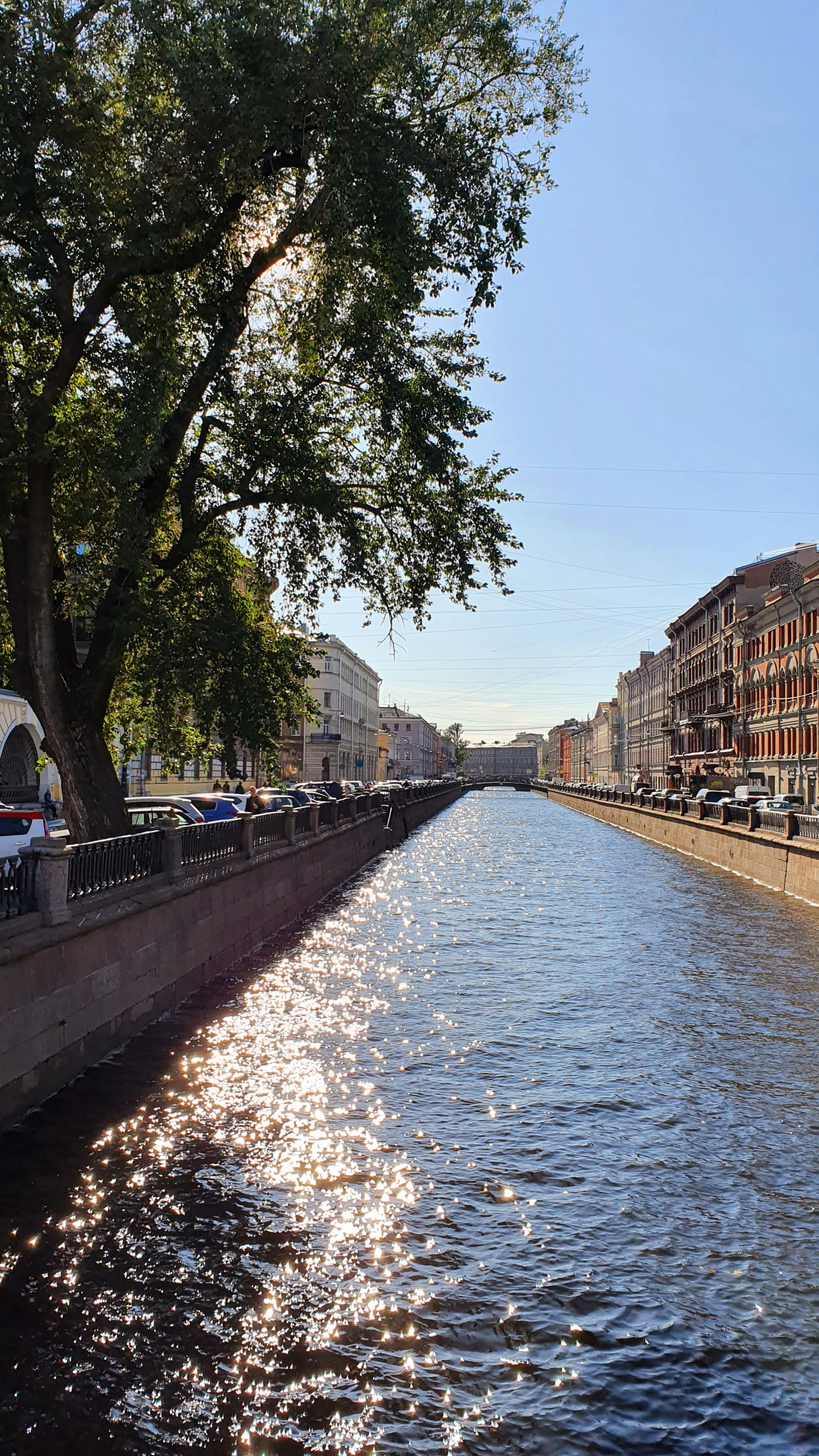 Фото Грифон