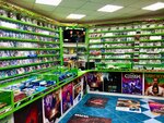 GameShop (Советская ул., 97), игровые приставки в Костроме