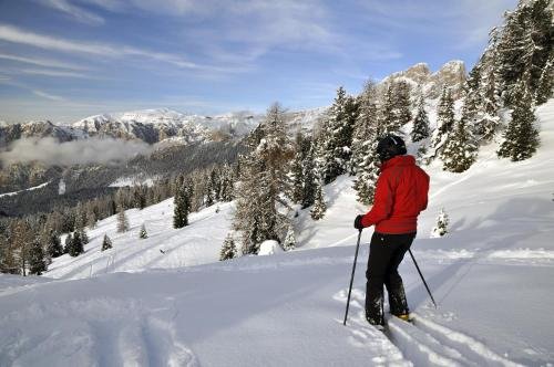 Фото Berghotel Pine