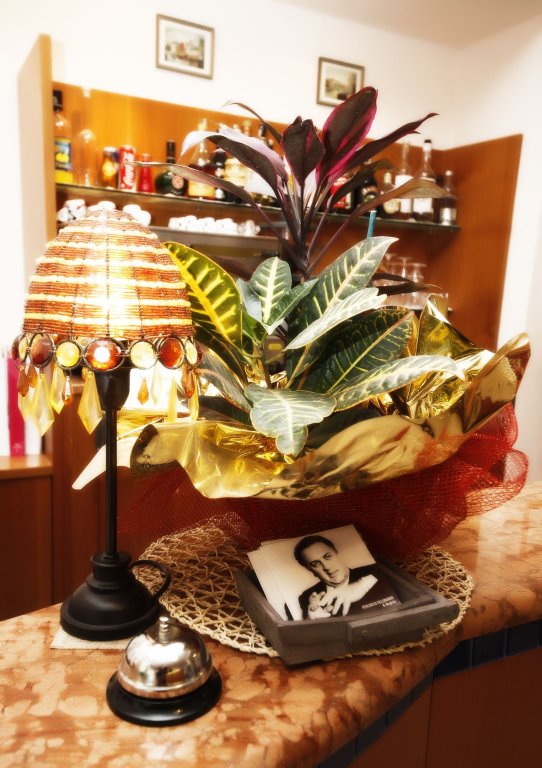 Фото Hotel Villa Gioiosa