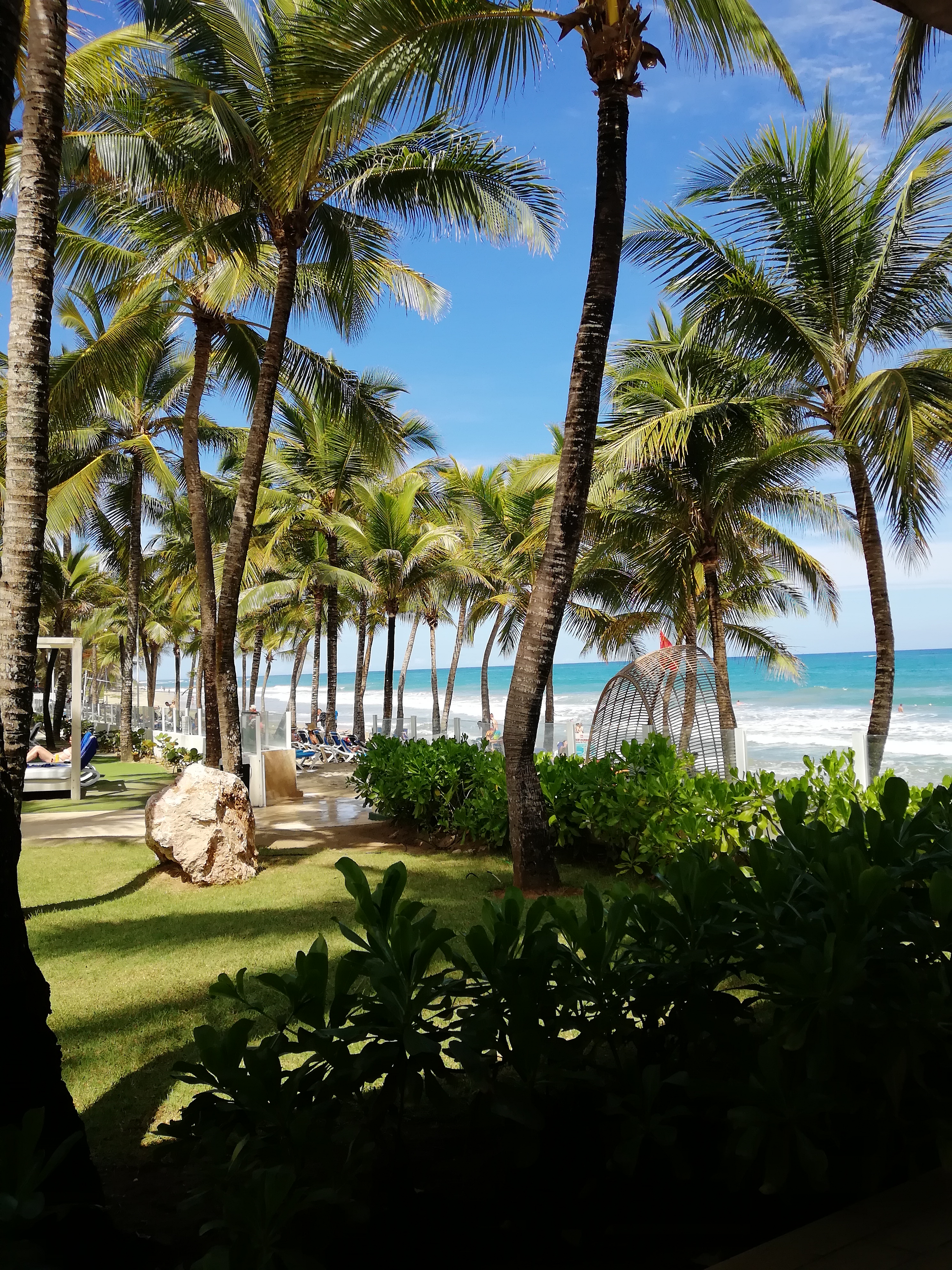 Фото Viva Tangerine by Wyndham, A Trademark All Inclusive