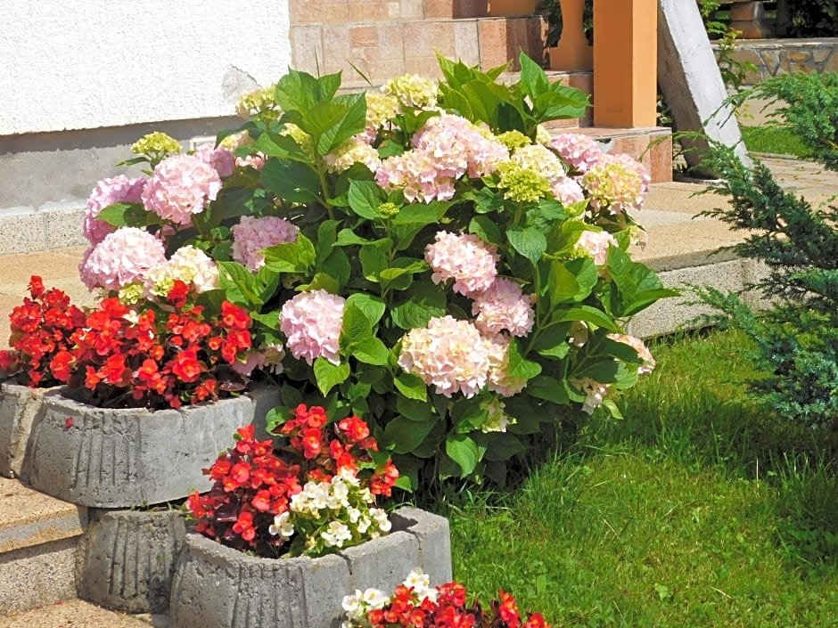 Фото отеля 5