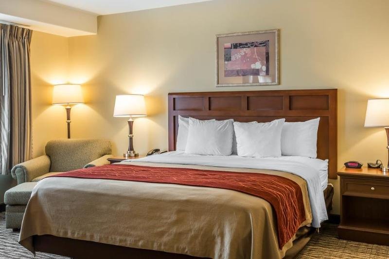 Фото Comfort Inn Pomona near Fairplex