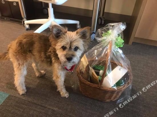 Фото Home2 Suites by Hilton Roseville Sacramento