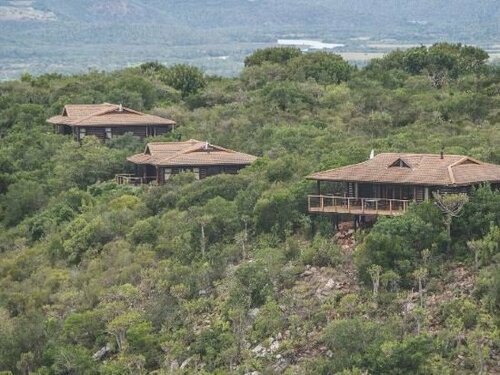 Гостиница Kariega Game Reserve Settlers Drift