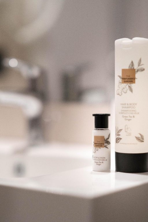 Фото Hotel du Theatre