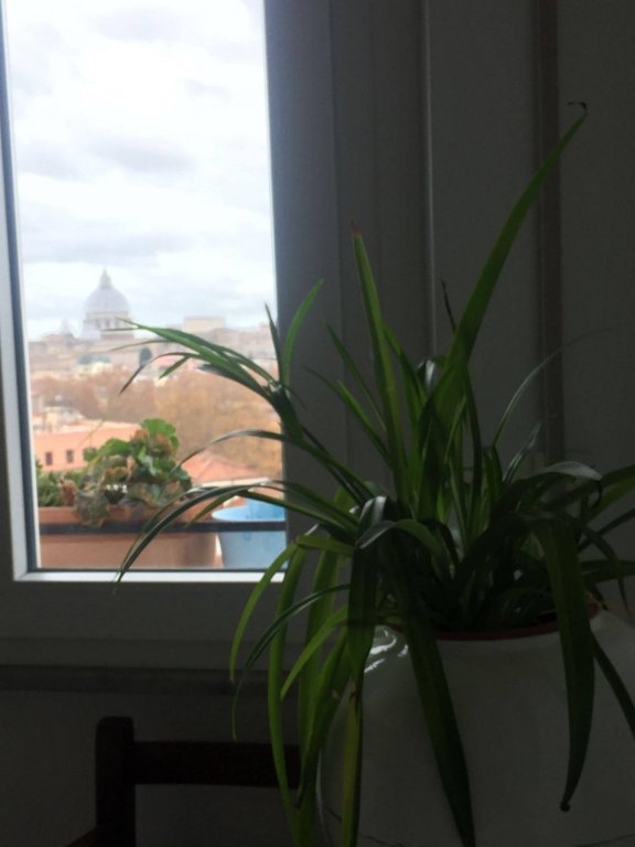 Фото Rome... What Else