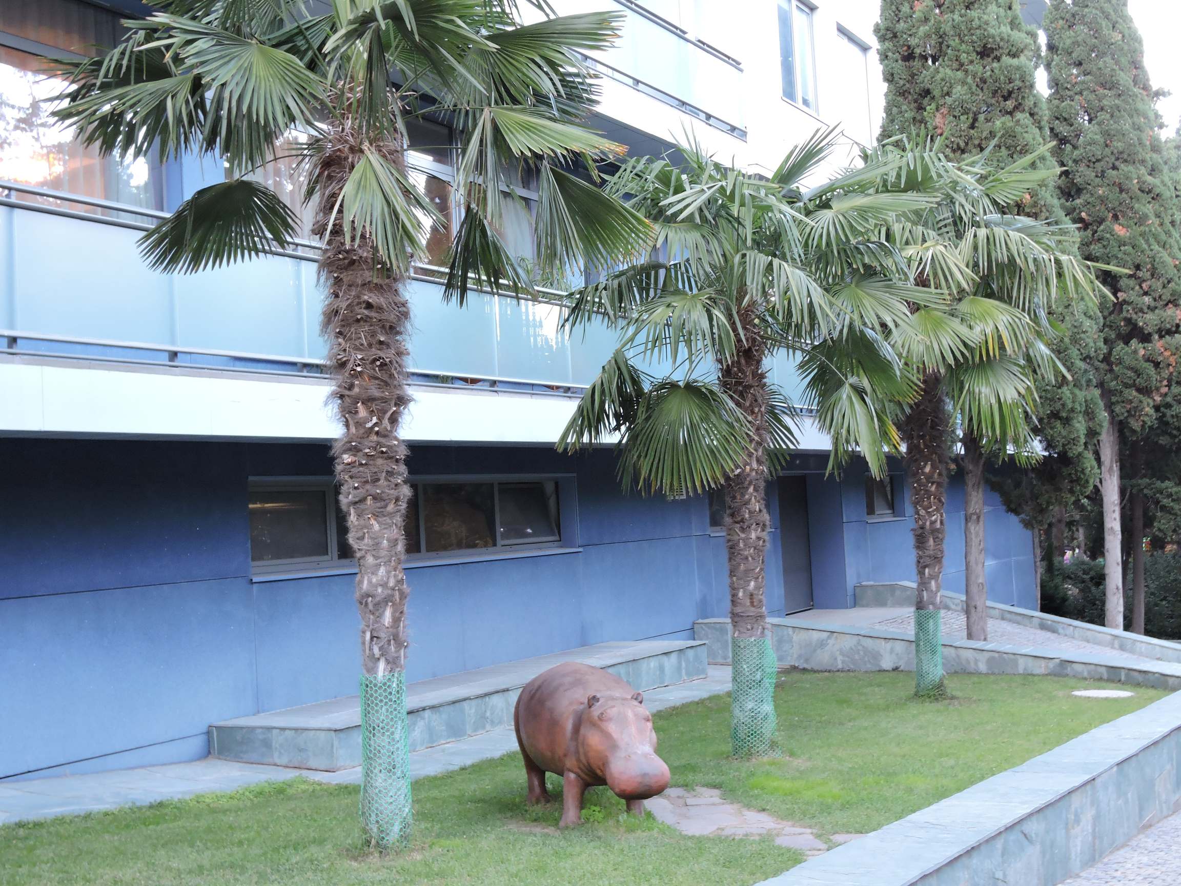 Фото Дача Штейнгольца