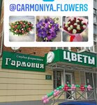 Гармония (ulitsa Lenina, 127), flower shop
