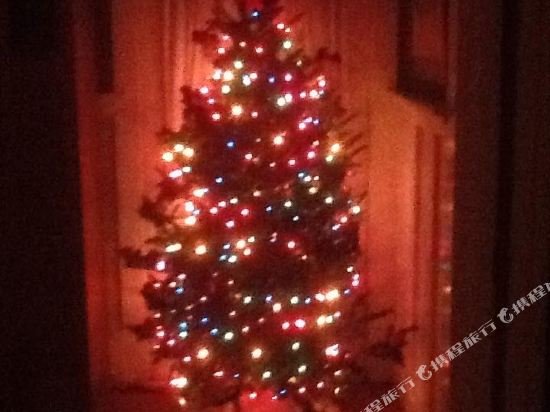 Фото The Red Door B&b