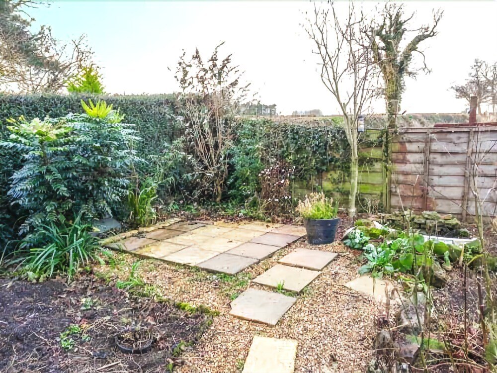 Фото Robin House