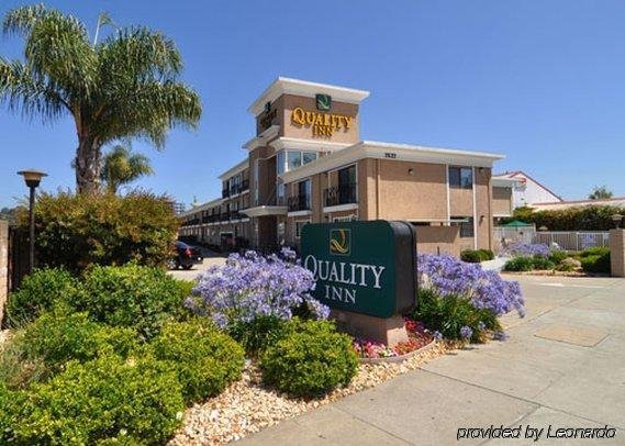 Фото Comfort Inn Castro Valley