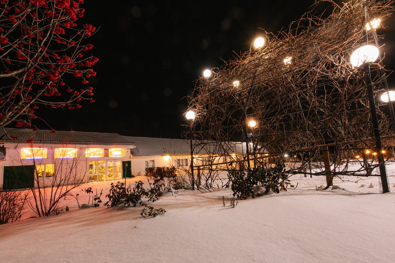 Фото Курский соловей