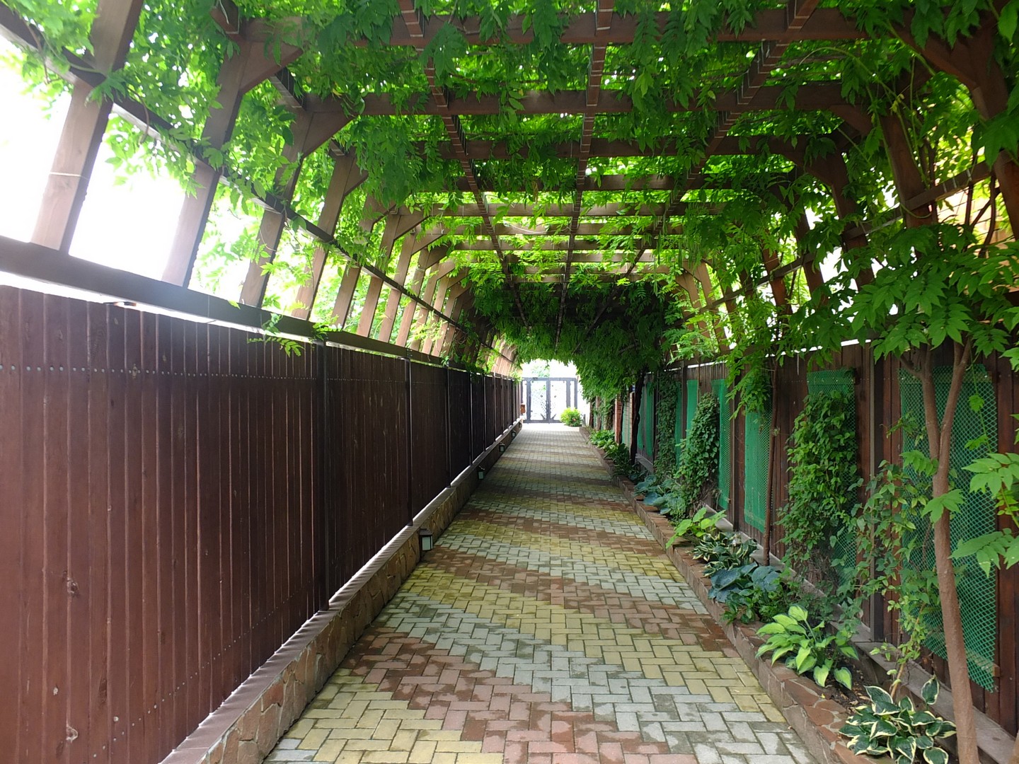 Фото Гелиос