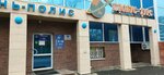 Turisticheskaya firma Globus (Malygina Street, 84), travel agency