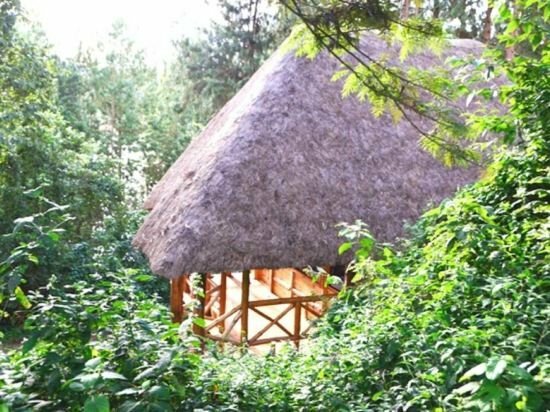 Hotel Lake Bunyonyi Eco Resort, Earth, photo