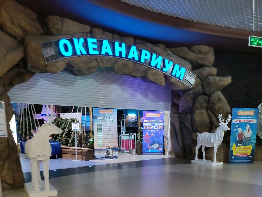 Пенза океанариум карта