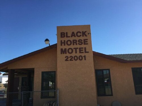 Гостиница Black Horse Motel