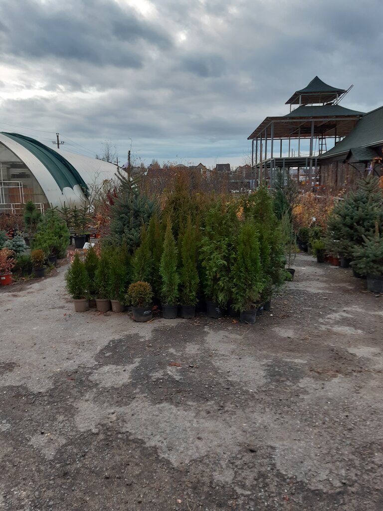 متجر مستلزمات البستنة Teplitsa Flower Shop ، ، صورة