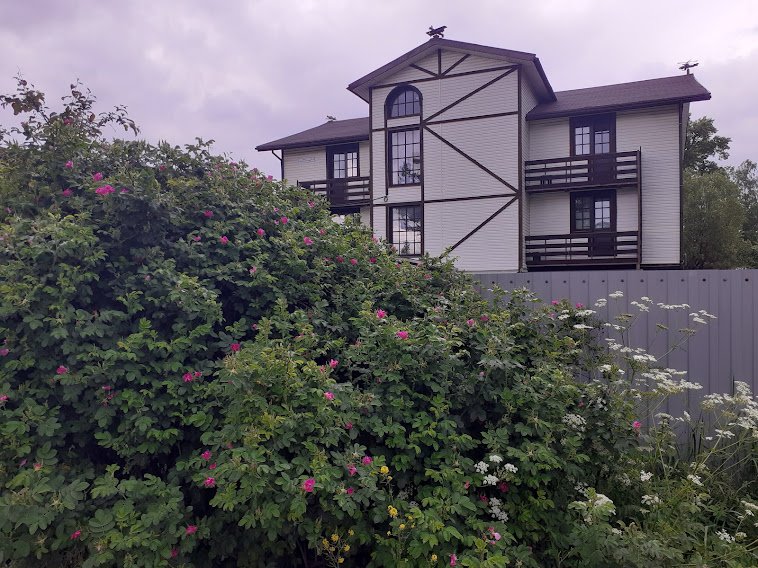 Фото Старая Стрельна