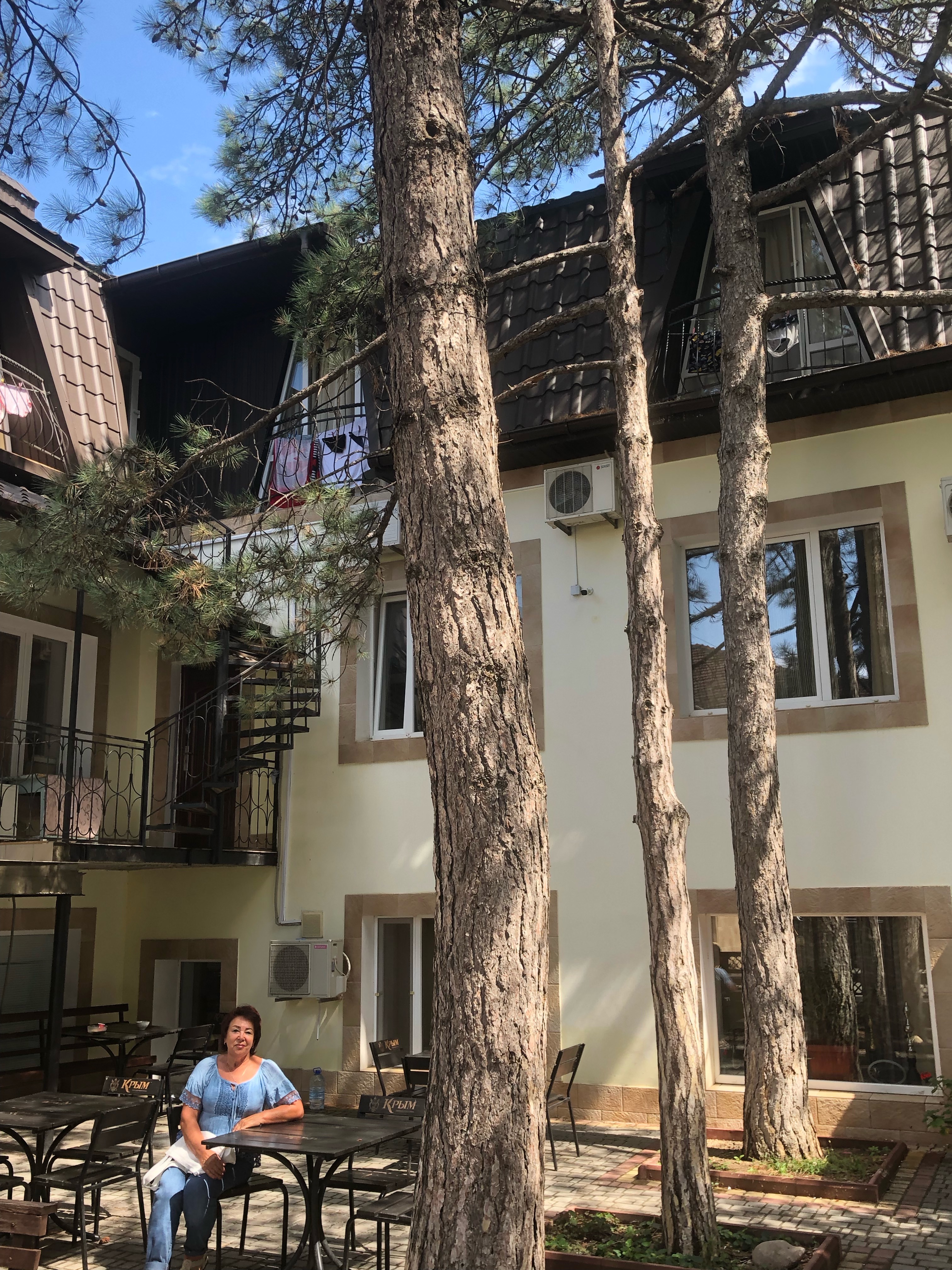 Фото Три сосны