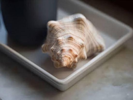 Фото City Centre Apartments