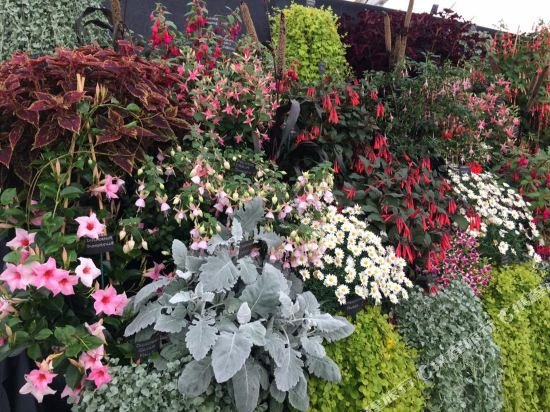 Фото Bowden Lodge Hotel