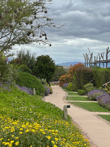 Внешний вид отеля Garden Route Game Lodge в Джордже, фото 3