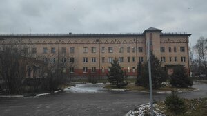 Воскресенский ауданы, Цурупы ауылы, жыныс