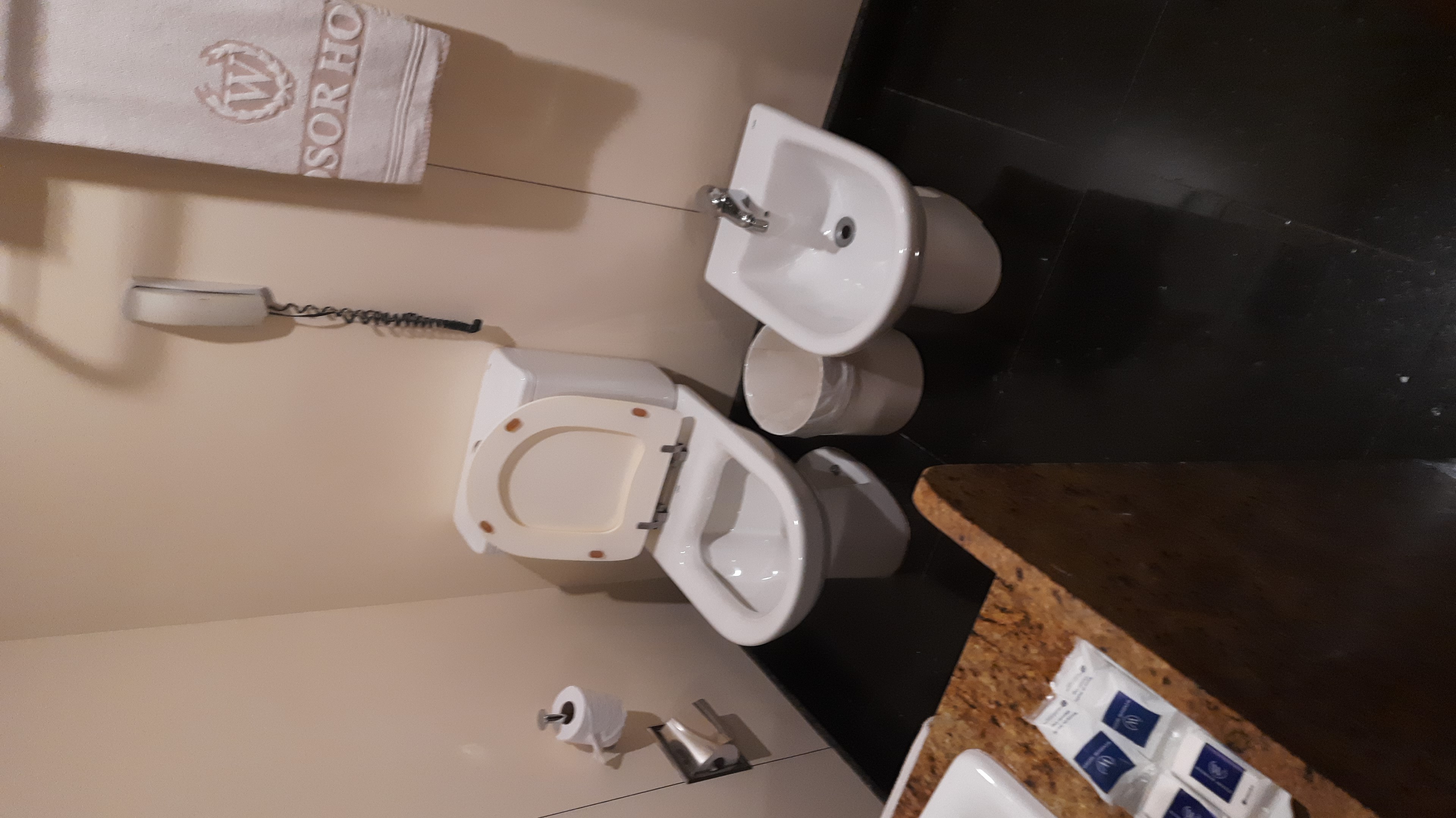 Фото Windsor Copa Hotel