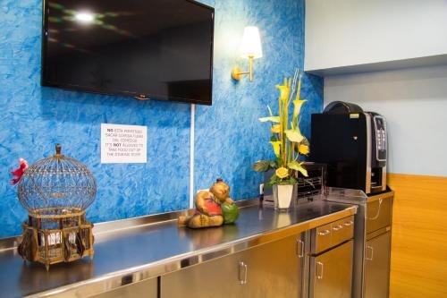 Фото Hostal Baler