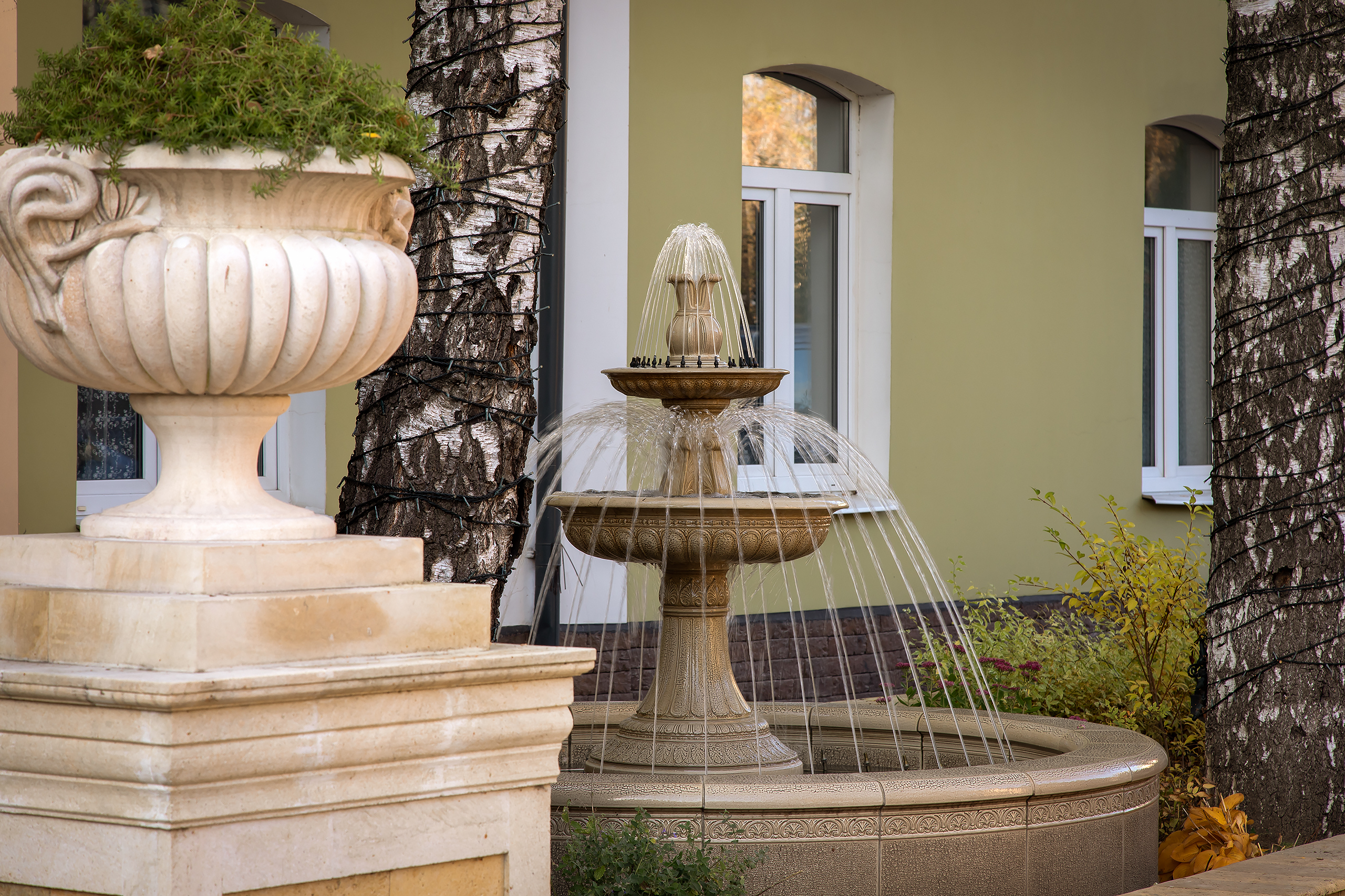 Фото Клевер