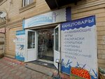 Золотая скрепка (Mayakovskogo Street, 37), papelería