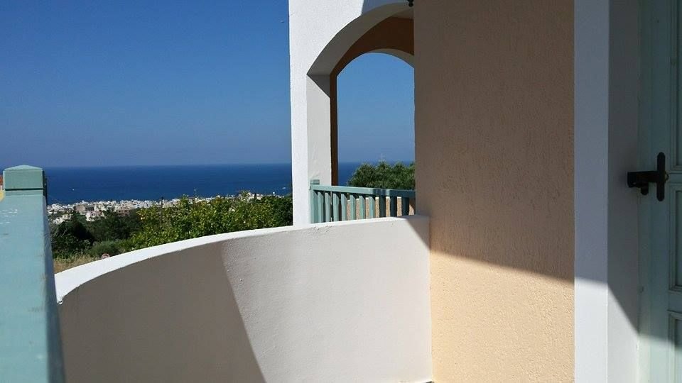 Фото Amazones Sun Studios