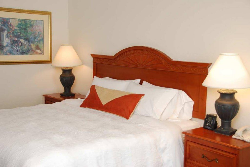 Фото Hilton Garden Inn Austin Nw/Arboretum