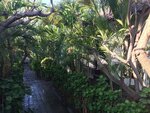 Scuba Tribe Bali