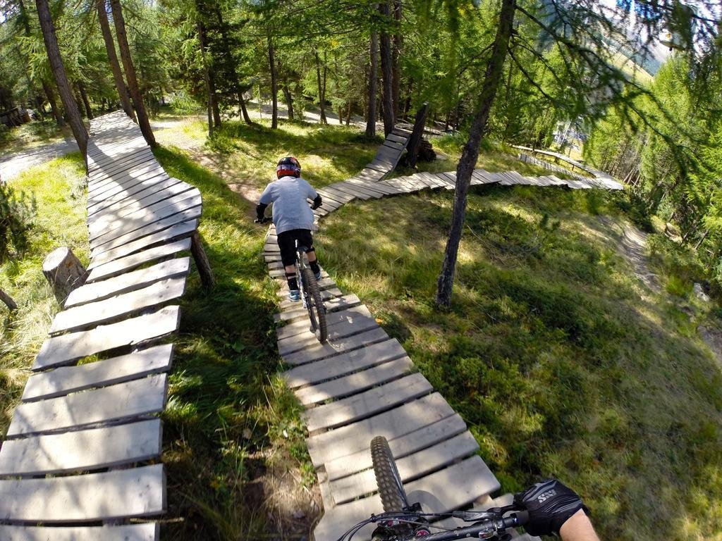 Фото Chalet Alpine Dream