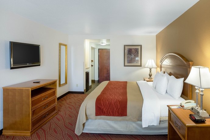 Фото Comfort Inn & Suites Near Medical Center