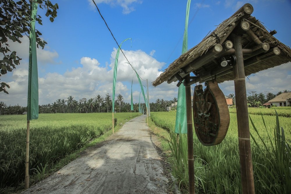 Фото Jungle Lotus Villas