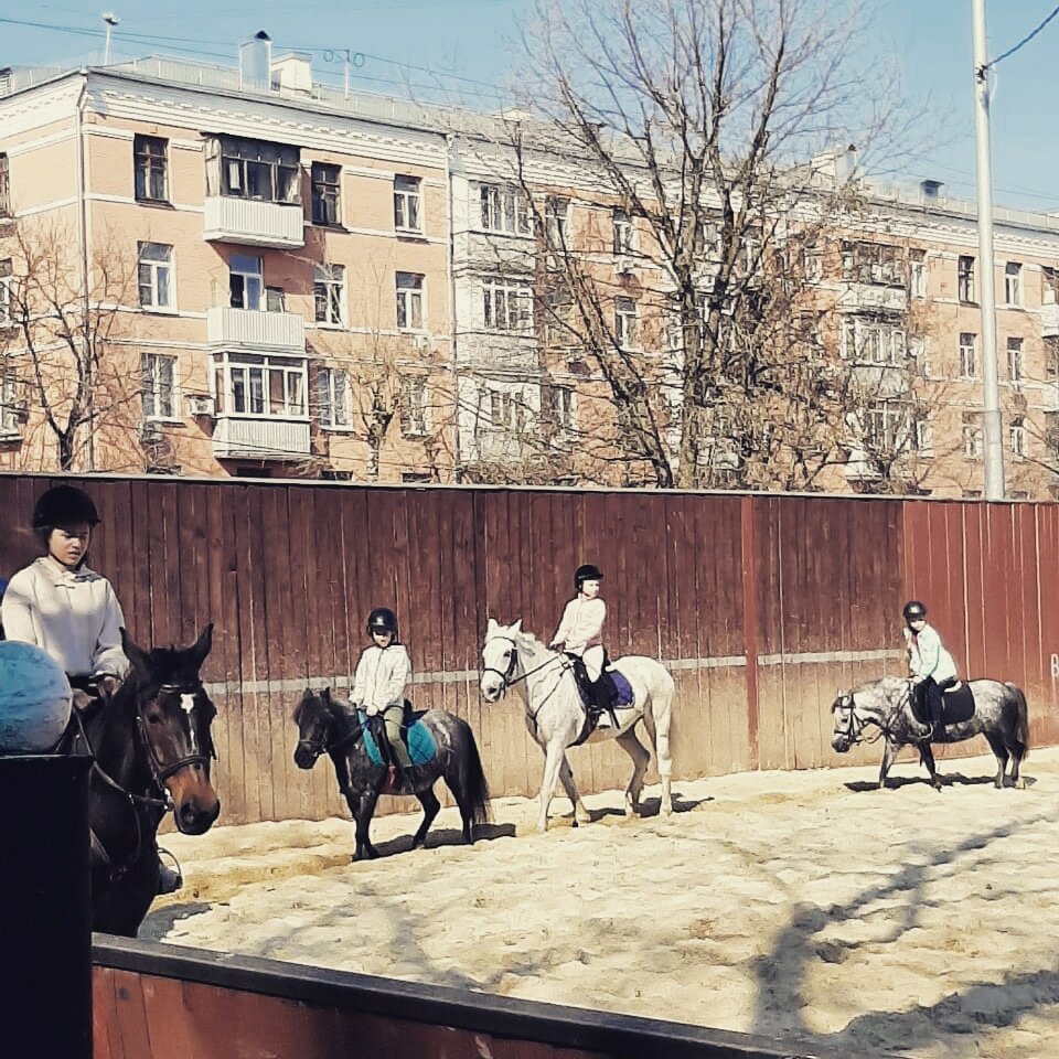 Horse riding Equestrian Club Fili, Moscow, photo