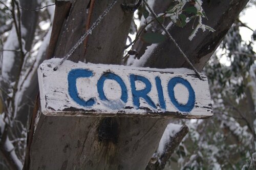 Гостиница Corio Ski Club