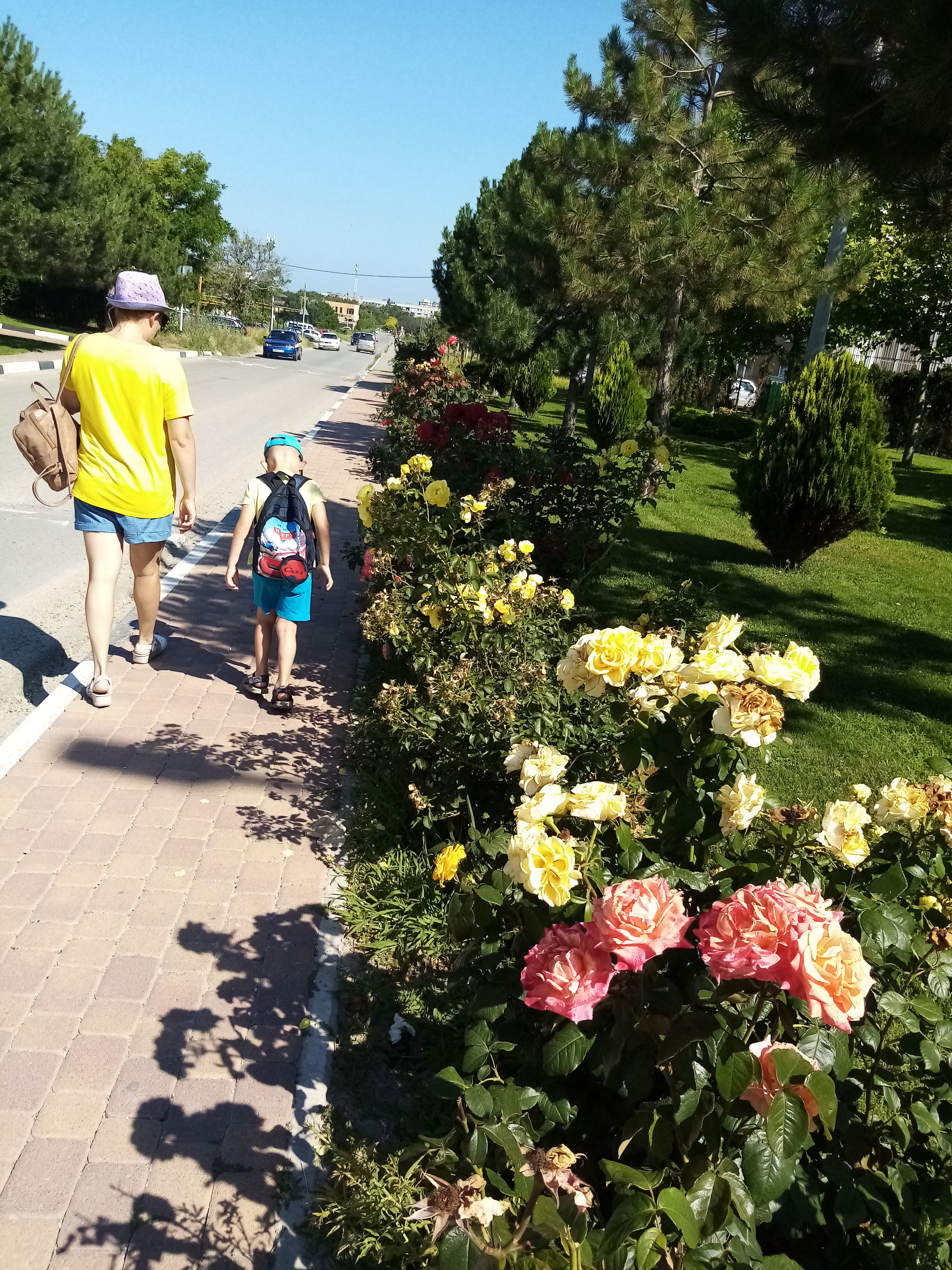 Фото Семь Ветров