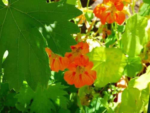 Фото Hostal Campo Nuevo