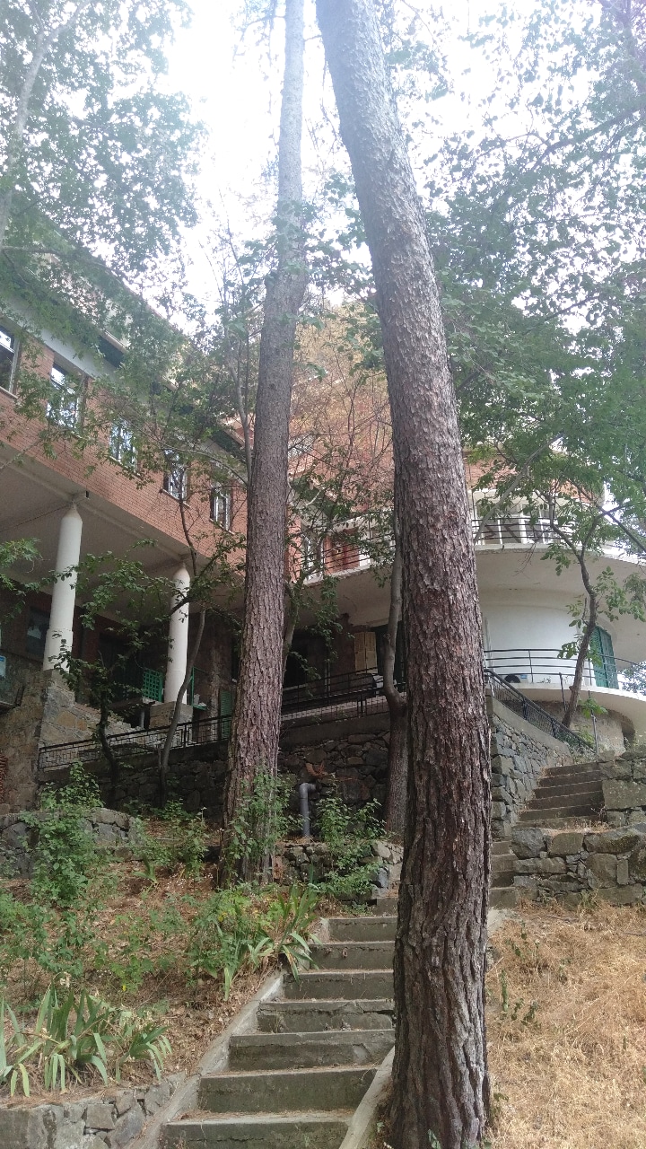 Фото Forest Park Hotel