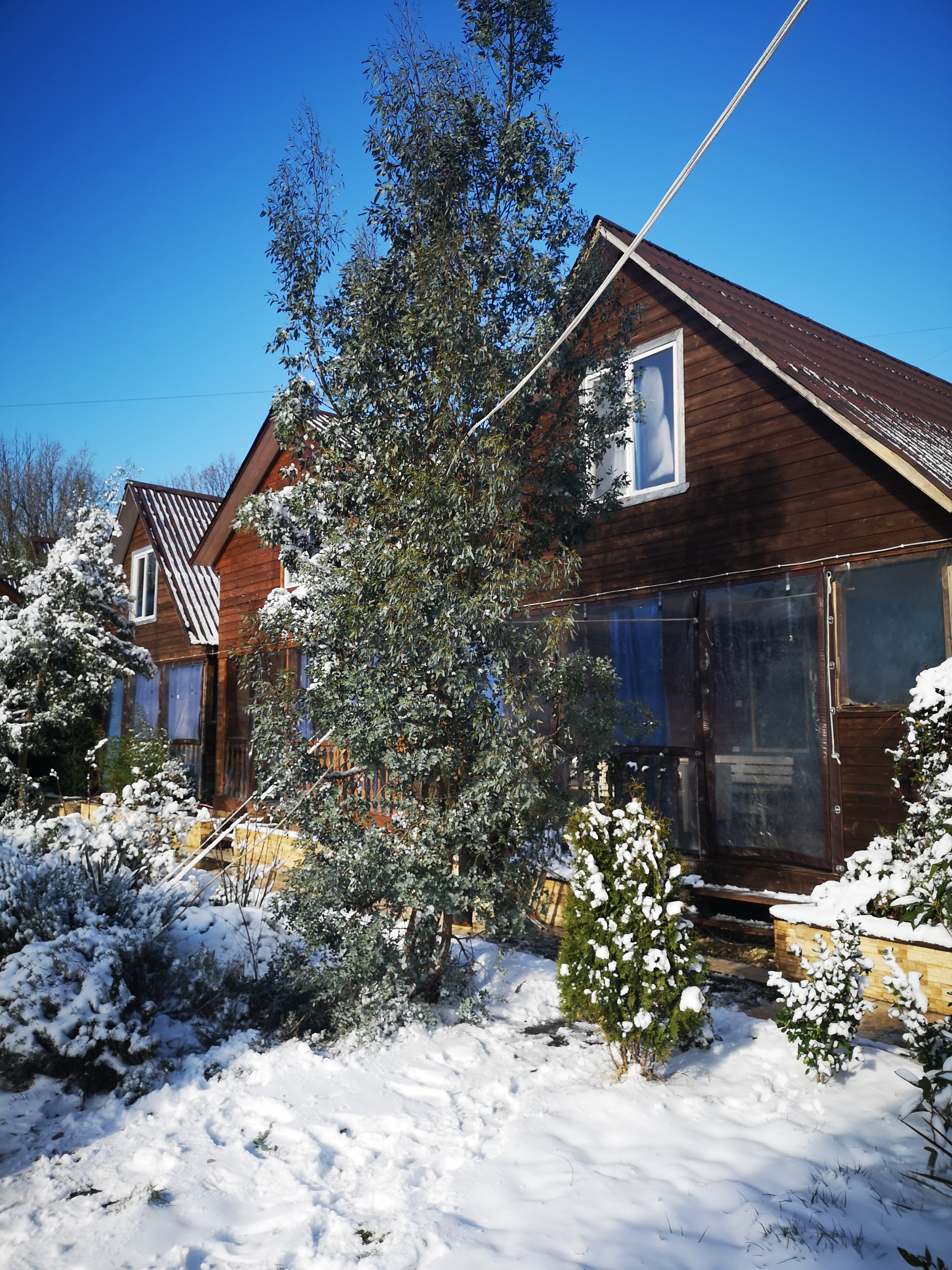 Фото Лесная поляна