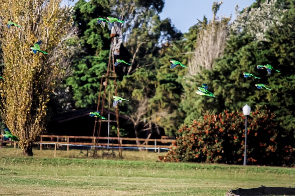 Фото Wyndham Garden Luján